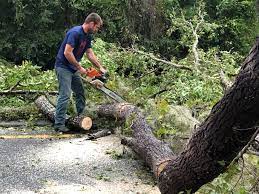 Best Seasonal Cleanup (Spring/Fall)  in Bonifay, FL